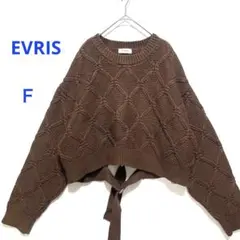 【EVRIS】 バックディテールケーブルニット　セーター　ショート丈