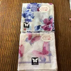 Item thumbnail for item 6d7a5d2a-01d8-47cc-a6fb-e3a3af0bd5b5