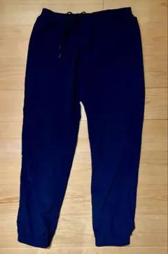 patagonia バギーズパンツ メンズ M ネイビー