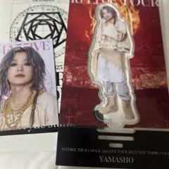 山本彰吾 MA55IVE アクスタカードセット