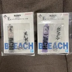 朽木ルキア 更木剣八 BLEACH 一番くじ E賞 アクリルツインチャーム