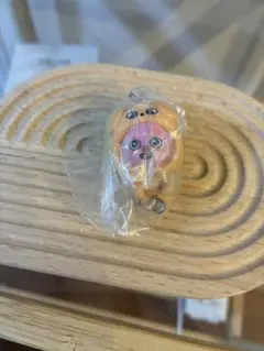 スキズ　skzoo つまんでつなげてますこっと