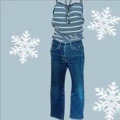 LEVI'S Perfct Body デニム レディースS サイズ27