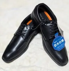 Item thumbnail for item fa04c958-4b63-4138-839f-5c3ce4c3c648