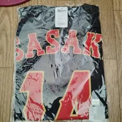 Item thumbnail for item d33f8ddd-f24c-4cb3-a660-9e297a0e5ab1