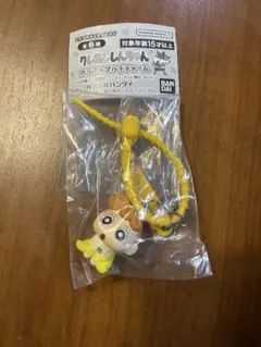 クレヨンしんちゃん カラフルマルチチャーム