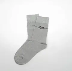 item logo socks（silver glitter)