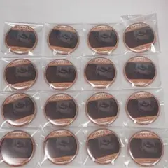 ヒロアカ 爆豪勝己 キャラバッジコレクション 缶バッジ