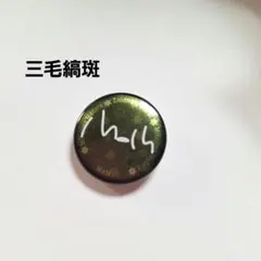 2026年最新】三毛縞斑 缶バッジの人気アイテム - メルカリ
