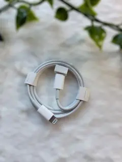 Apple 純正 タイプC Lightningケーブル iPhone充電器