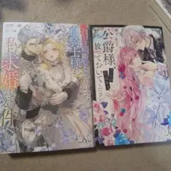 君とは結婚しないと言った白騎士様が、なぜか聖女ではなく私に求婚してくる件