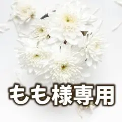 もも様✨️専用ページ
