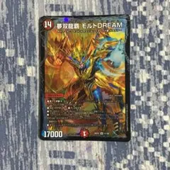 モルトdream