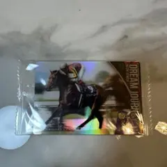 Thoroughbred Horse Collectionドリームジャーニー