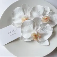 Item thumbnail for item 0d1eb6c2-21db-42b1-8542-33980de19c2c