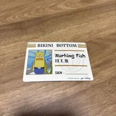 ビキニボトムバディーズ　カード