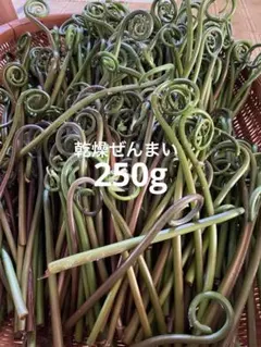 令和8年新物 極上物 200g 徳島産肉厚乾燥ぜんまい 山菜ゼンマイ 野菜