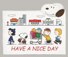 クスリのアオキ スヌーピー ブランケットinクッション 非売品