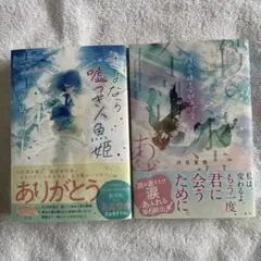 汐見夏衛著「さよなら嘘つき人魚姫」「僕の永遠を全部あげる」2冊セット