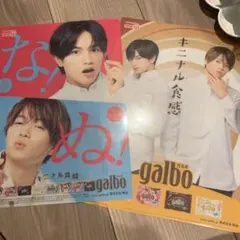 galbo キニナル食感 クリアファイル、下敷き2枚セット 中島健人 菊池風磨