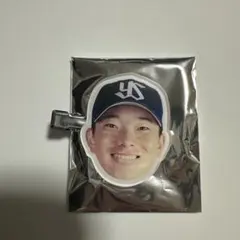 ヤクルトスワローズ　木澤尚文　20のサムネイル