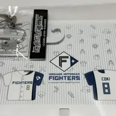 WILD BLUE グッズ まとめ売り GX2TMXAaAAERc4k.jpg:large