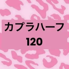 カプラハーフ