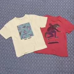 Tシャツ　2枚　恐竜　GAP SiShuNon 150 140(大きめ) セットのサムネイル