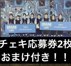 EBiDAN Visual Dictionary ICEx チェキ応募券２枚
