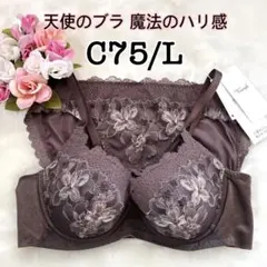 Item thumbnail for item b953d08c-0d8e-49d3-bd64-6fca3734d518