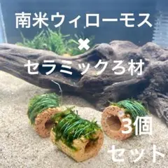 【期間限定価格・エビ水槽の人気商品！】南米ウィローモス✖︎セラミックろ材✖︎3個のサムネイル