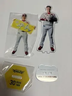 東北楽天ゴールデンイーグルス 内星龍選手 #69 アクリルスタンド 5種