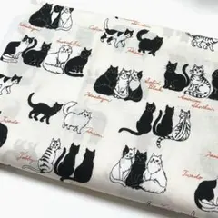 生地　ハギレ　ネコ柄　猫の遊び場　ホワイト　スケア地