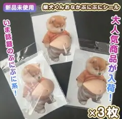 おなかぷにぷにシール　3枚セット お腹　柴犬　スクイーズ　シリコン　まとめ売り