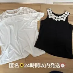 Item thumbnail for item 2e1db3f3-7ddd-45e8-87bc-946ab07d8a7c