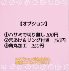 元保育士が作った解説おまけ付き　絵カード　64枚　※オーダー組み合わせもOK