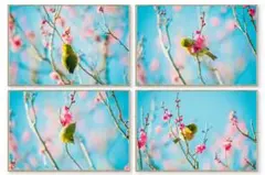 梅と三日月の風景高解像度写真 L判写真 4枚 セート - メルカリ