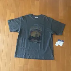 Item thumbnail for item 2211e7eb-fd74-470c-a09d-630365ddc8c8