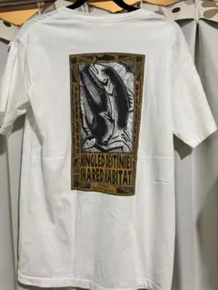 希少90s Patagonia beneficialサーモン TシャツスナップT