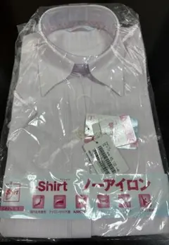 Item thumbnail for item 4f6f6e6c-7248-453f-8c82-618fbbb8b156