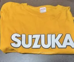 FRUITS ZIPPER 鎮西寿々歌TシャツXL