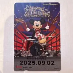 ⚠️説明文必読⚠️ ビッグバンドビート　フリーきっぷ　こども　リゾートライン