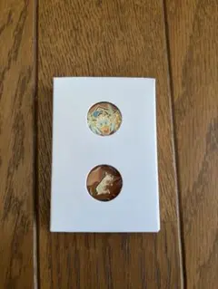 ディズニーリゾート ピンコレクションVOL.3 ドナルド&ヒューイデューイルーイ