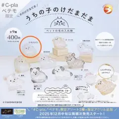 【ペテモ限定】うちの子のけだまだま　犬　ポメラニアン
