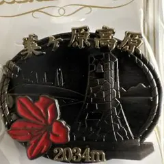 Item thumbnail for item 3ba26eb7-41b9-4e74-bf05-a092ae1740ef