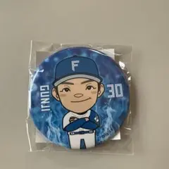 北海道日本ハムファイターズ 郡司祐也 缶バッジ