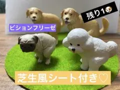 ビションフリーゼ カプセルトイ
