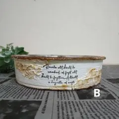 リメ鉢<1134 4号浅鉢 乙女心 多肉植物 寄せ植え 底穴大きめ シンプル