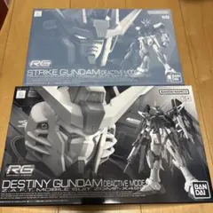 RG ストライクガンダム デスティニーガンダム ディアクティブモード2点セット