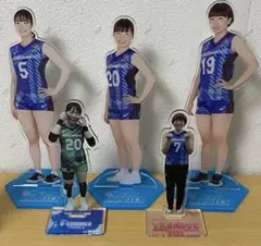 【訳あり11/30まで】埼玉上尾メディックス アクリルスタンドセット